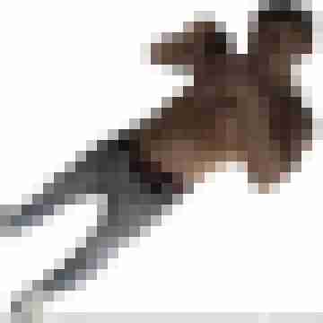 Typ21