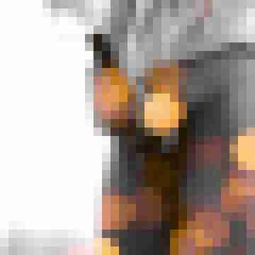 thommyx666