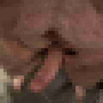 Losti