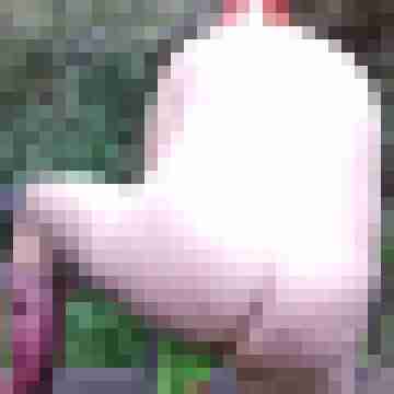 Letsy4u2c