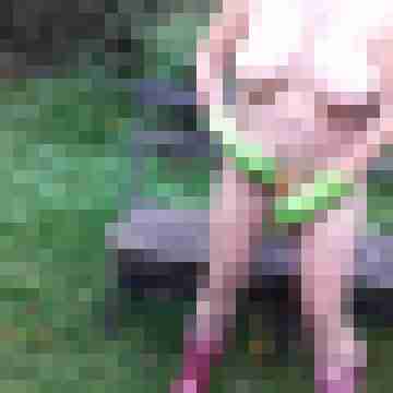 Letsy4u2c