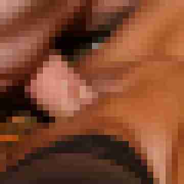 Drifter_CH