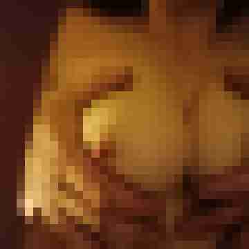 wirsuchensex