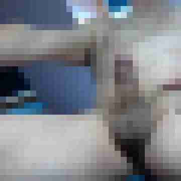 hanswurst-0815