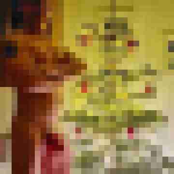 Amateur_Erotik