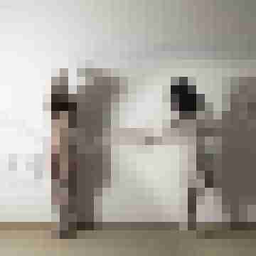 Phorus