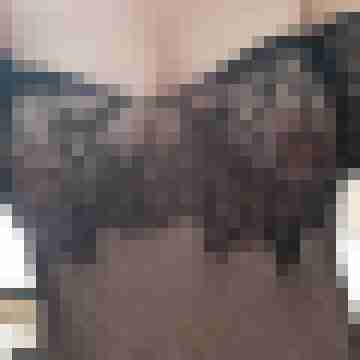 Anna2574