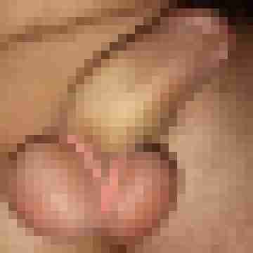 exib1