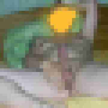 Andy04895_47