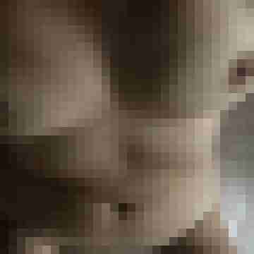 Hotte2