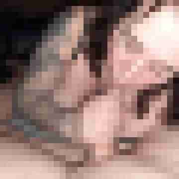flitscherl1