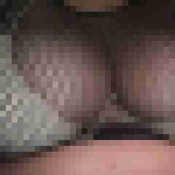 Hotte2