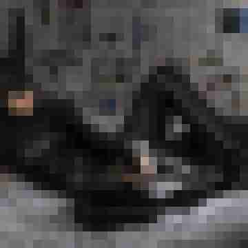 Phorus
