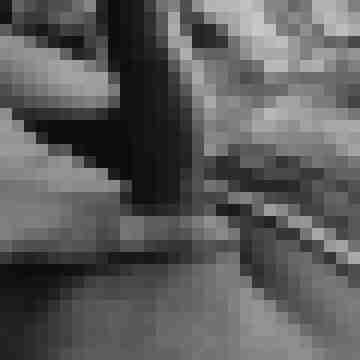 Sven351988