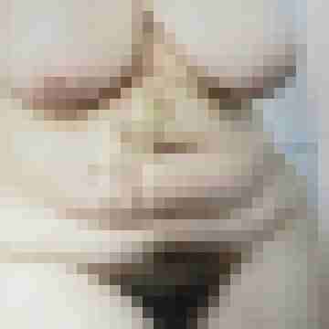 degenerachim