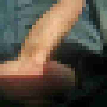 hornyxsar