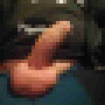 hornyxsar