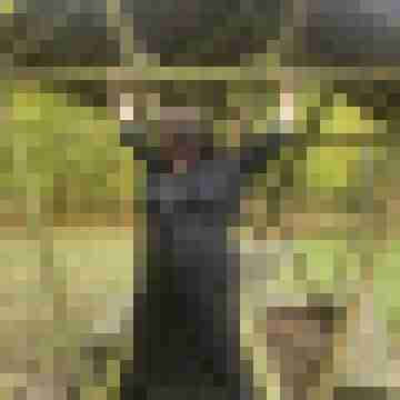 Francis_S