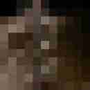 Phorus