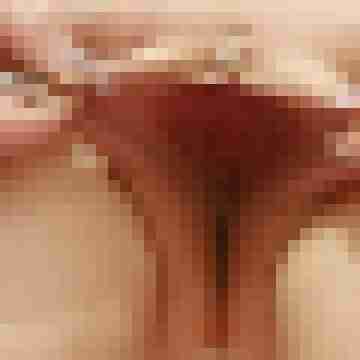 duiz