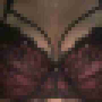 Hotte2