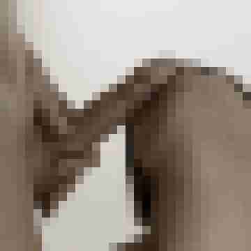 Phorus