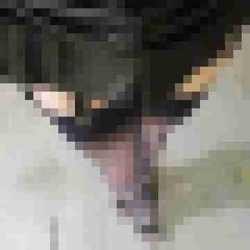AnaStockings