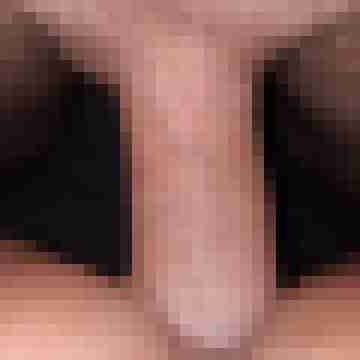 Alexa31