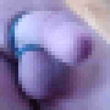 andrex666x
