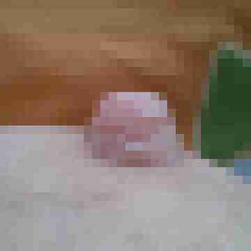 SSBBW_Luder