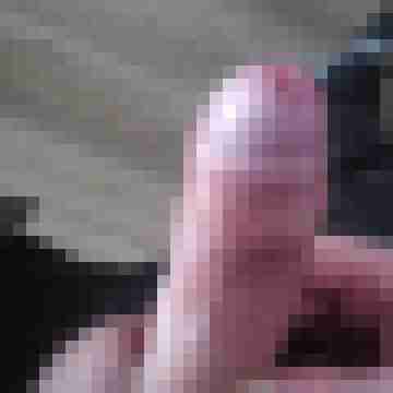 hornyxsar