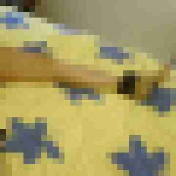 Letsy4u2c
