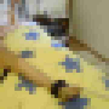 Letsy4u2c