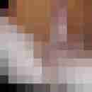 Bocho100
