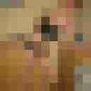 simmick