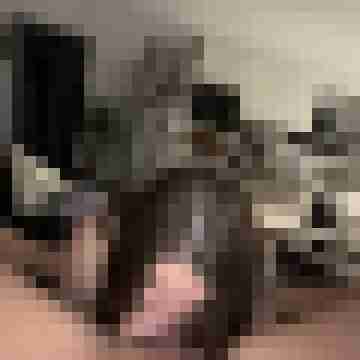 Daniel_91