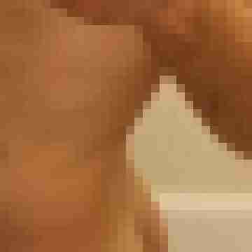 tommygross1
