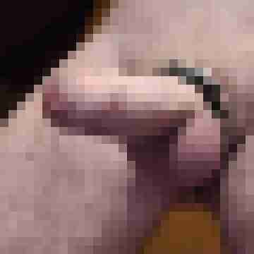 chatter96