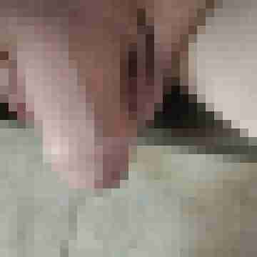Stichling38