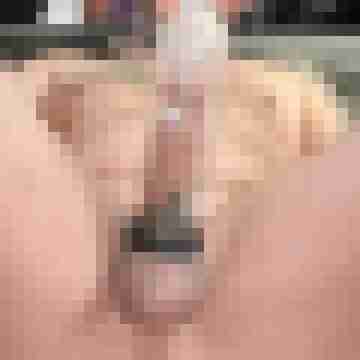 jimmbob006