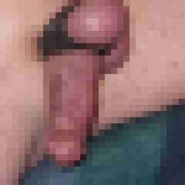 COCK-Lover