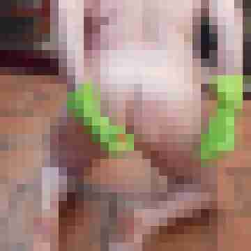 Letsy4u2c