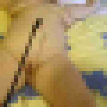 Letsy4u2c