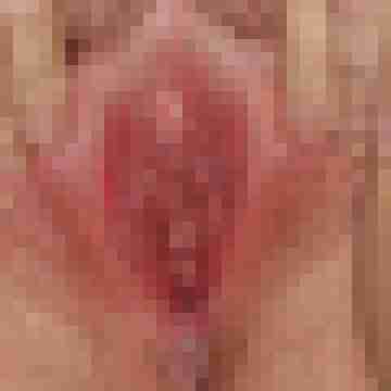 arschstute