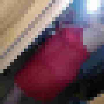 Haseblase26