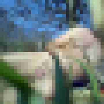 mixywixy