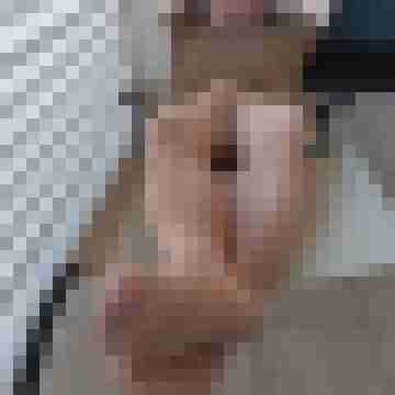 Xetikus