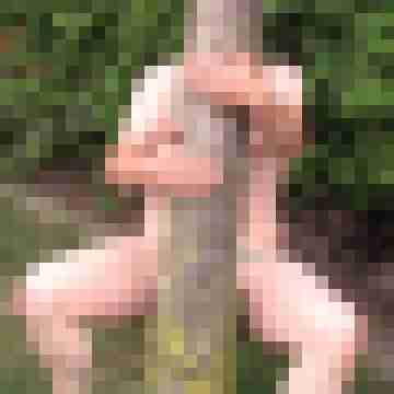 Klaus79