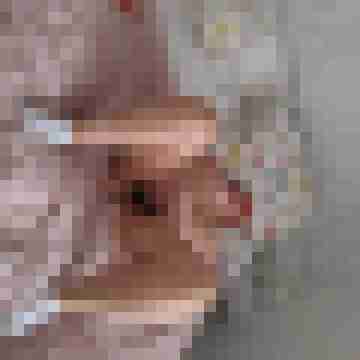 mondon