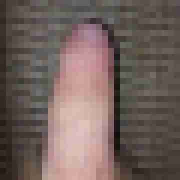 Retep2006